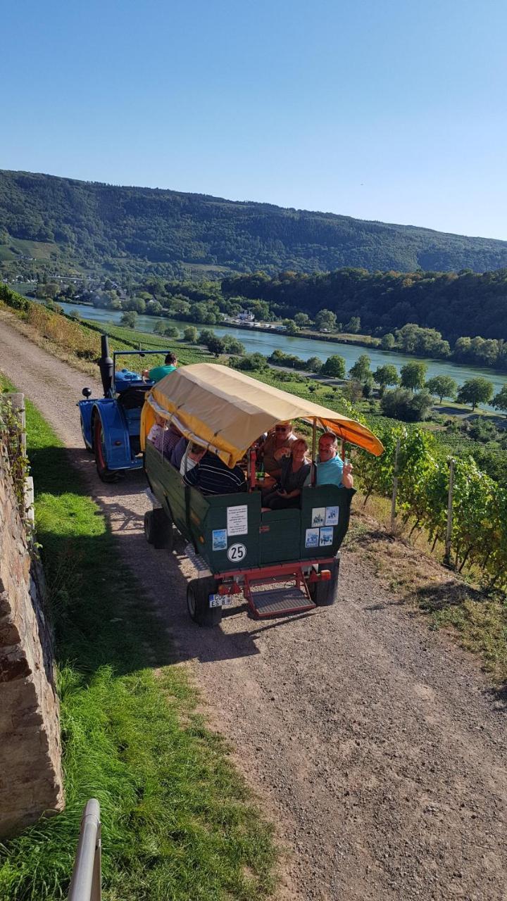 Weingut Erich Serwazi ميسينيش المظهر الخارجي الصورة